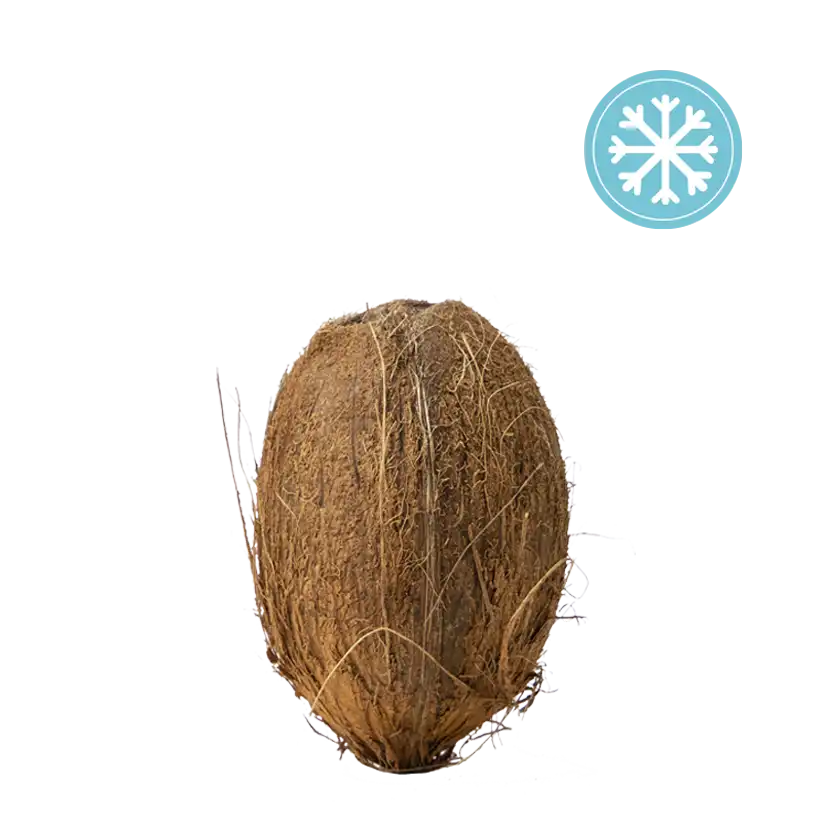 Genuine-Coconut-Maduro-refrigerado Coco peludo <br> - Carne de coco - - Imagen 1
