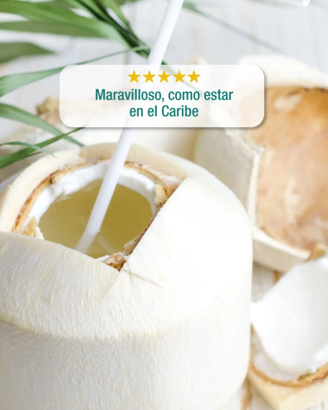 🌴 Para los que ya volvieron y extrañan el mar...
🌴 Y para los que aún no os habéis ido y contáis los días...

Tenemos la solución tropical: ¡Coco Lápiz! 🥥✨ 
Un sabor que te transporta directo a la playa, sin salir de casa.
Refrescante, natural y 100% vibes de vacaciones.

🛒 Disponible al -15% de descuento por tiempo limitado en nuestra tienda online

#ModoVacacionesOn 🏖
#CocoLápiz #SaborCaribeño #VeranoEnUnCoco