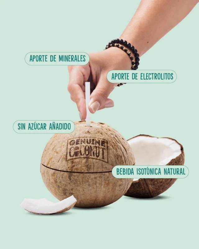 Ya no sabemos como decírtelo... ¡BEBEAGUA DE COCO! 💦🌴

💯 Directa del coco
🥥 En su envase original: ¡el mismo coco!

Porque si vas a combatir este calor de verano, hazlo con estilo tropical y todos los beneficios

🛒 Disponible al -25% de descuento por tiempo limitado en nuestra tienda online
