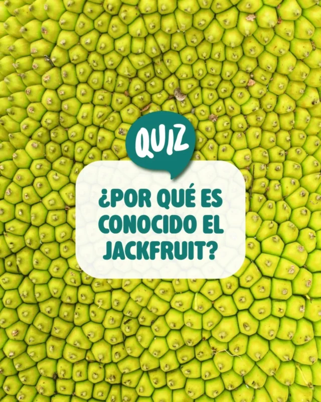 ¡Atención! ¿Sabrías decirnos por qué es conocido el Jackfruit?

💚 Por su sabor dulce
💛 Por ser la fruta más grande del mundo 🍈
🧡 Por crecer bajo tierra

Vota en la encuesta de los comentarios y descúbrelo!

🛒 ¡Disponible en nuestra tienda online al -25% de descuento!

#Jackfruit #ComidaVegana #VeganoSaludable #SinGluten #SinSoja VidaSaludable AlimentaciónConsciente CocinaVegana RecetasVeganas
