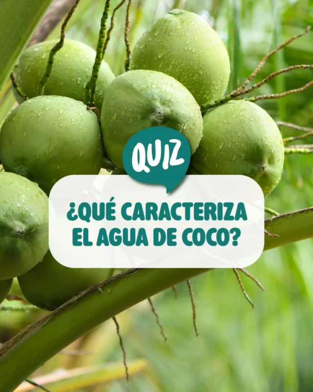 👀 A ver si aciertas este dato curioso sobre el agua de coco…

A️🌴 Es rica en electrolitos
B️🌴 Contiene cafeína
C️🌴 Es un refresco artificial

Vota en la encuesta de los comentarios y descúbrelo! 

#AguaDeCoco #HidrataciónNatural #ElectrolitosNaturales #VidaSaludable #AlimentaciónSaludable
