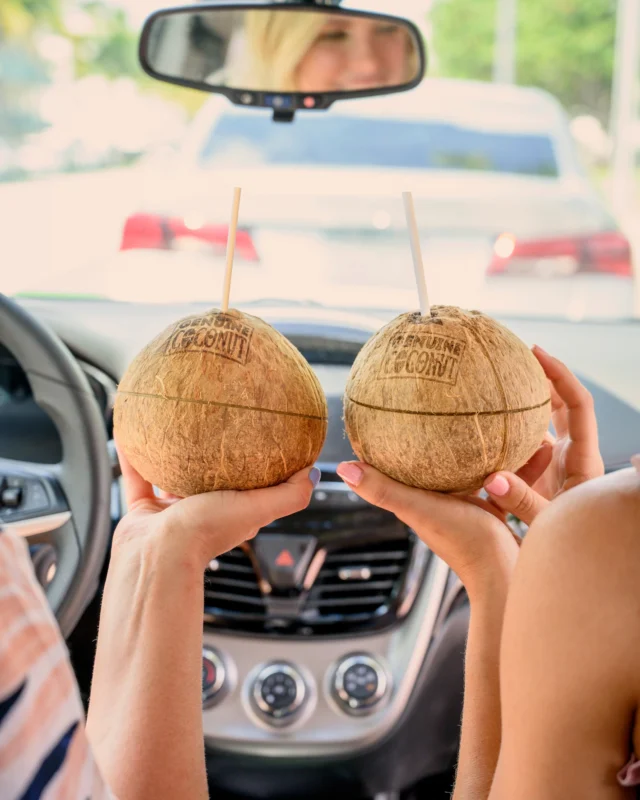 ¿Con este tiempo no creeis que apetece un coco bien fresquito? Cualquier momento es buen momento para abrir uno y disfrutar 😎

🛒 ¡Disponibles en nuestra tienda online! Enlace directo en nuestra bio ✨

#CocoVerde #VidaSaludable #HidrataciónNatural #EasyOpening #RealFood #CuídateNatural