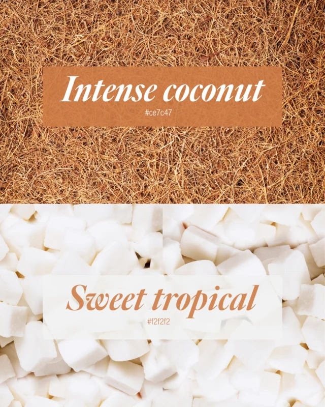Nuestros colores favoritos no están en una pantalla. Están en un coco. 🤍🤎🥥

#GenuineCoconut #CocoLovers #NaturalFood #HealthyLifestyle #FoodDesign #RealIngredients #EatClean