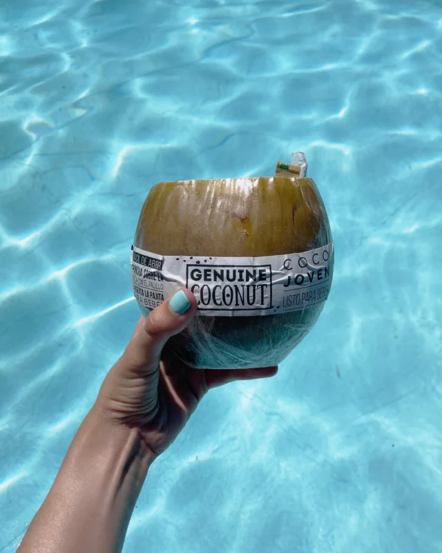 POV: el verano sabe mejor con un coco en la mano. 🥥☀️💦

🛒 ¡Disponible en nuestra tienda online! Enlace directo en nuestra bio ✨

#SummerVibes #TropicalMood #NaturalEnergy #BeachMood